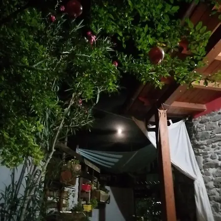 Daddanca Oda ve Kahvaltı *