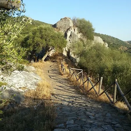 Oda ve Kahvaltı Daddanca *