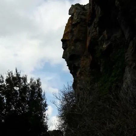 Oda ve Kahvaltı Daddanca *