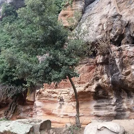 Oda ve Kahvaltı Daddanca