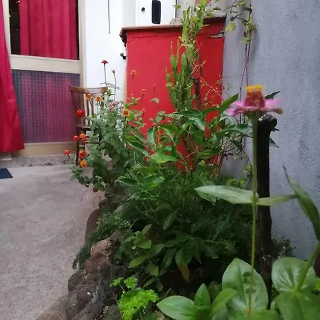 Daddanca Oda ve Kahvaltı Ales