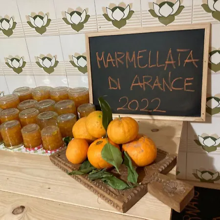Couette-café Daddanca *