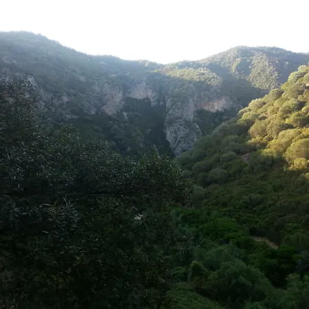 Daddanca Couette-café