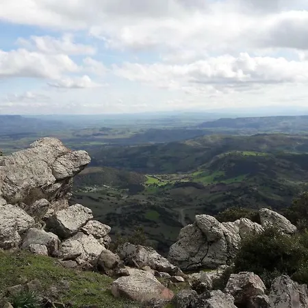 Daddanca Couette-café