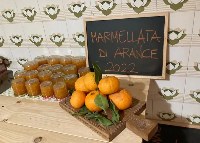 Couette-café Daddanca *