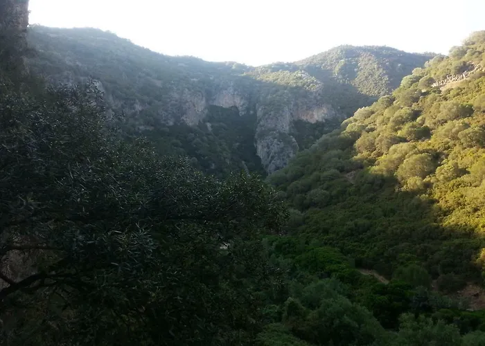 Daddanca Couette-café