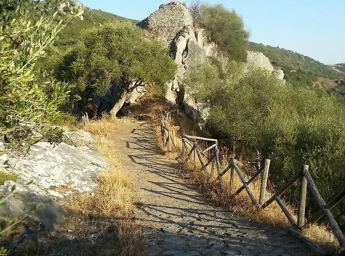 Couette-café Daddanca *