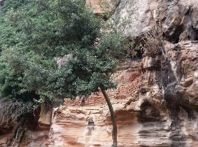 Couette-café Daddanca