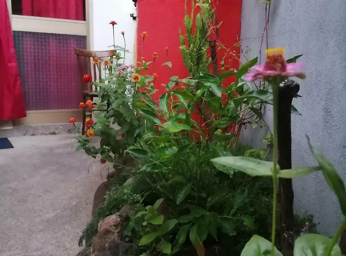 Daddanca Couette-café Ales